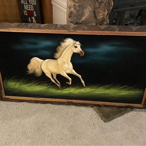 Beautiful horse picture